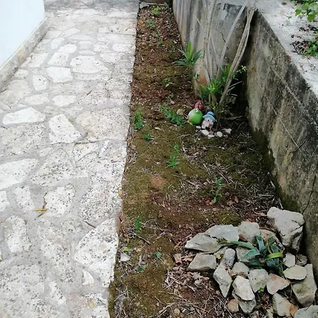 Bella Apartmani, Otok Ugljan - * カリ